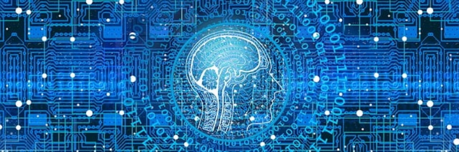 Using AI-Generated Content: What Are Your Legal Obligations?